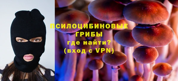 дурь Иннополис
