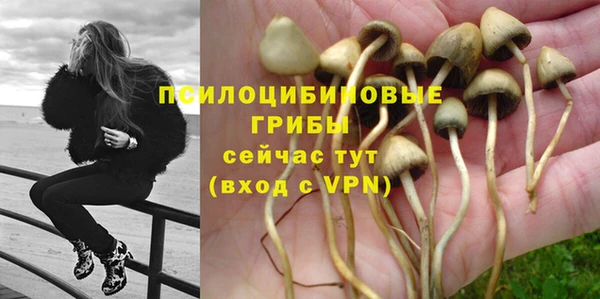 дурь Иннополис